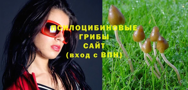 COCAINE Алексин