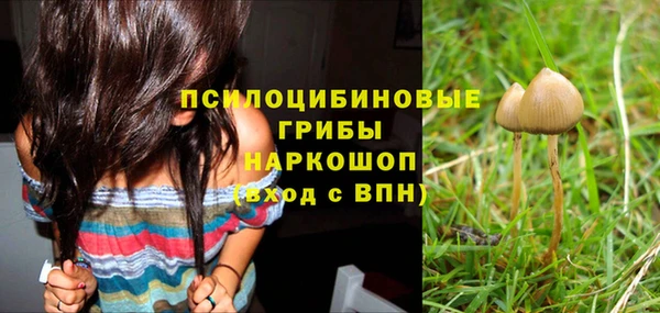стафф Алексеевка
