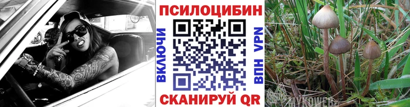 Псилоцибиновые грибы ЛСД  Урюпинск 